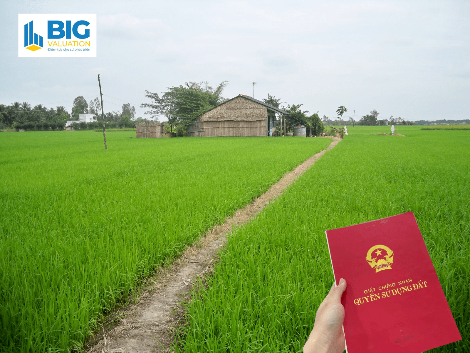 Dễ dàng chuyển từ đất nông nghiệp lên đất thổ cư theo Luật mới 2024 nhờ quy định này, người dân nên biết