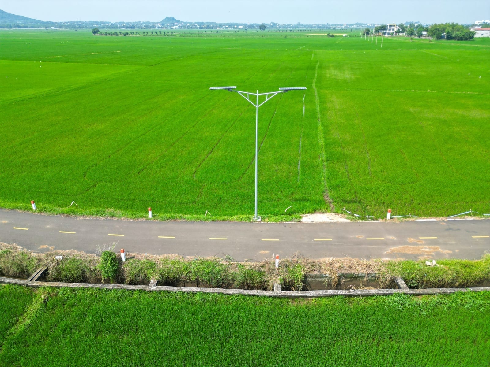 Bình Thuận: Điều kiện chuyển mục đích sử dụng đất trồng lúa nhỏ hơn 2 ha sang mục đích khác