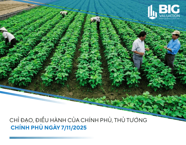 Chỉ đạo, điều hành của Chính phủ, Thủ tướng Chính phủ ngày 7/11/2025